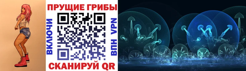 Псилоцибиновые грибы прущие грибы  Судак 